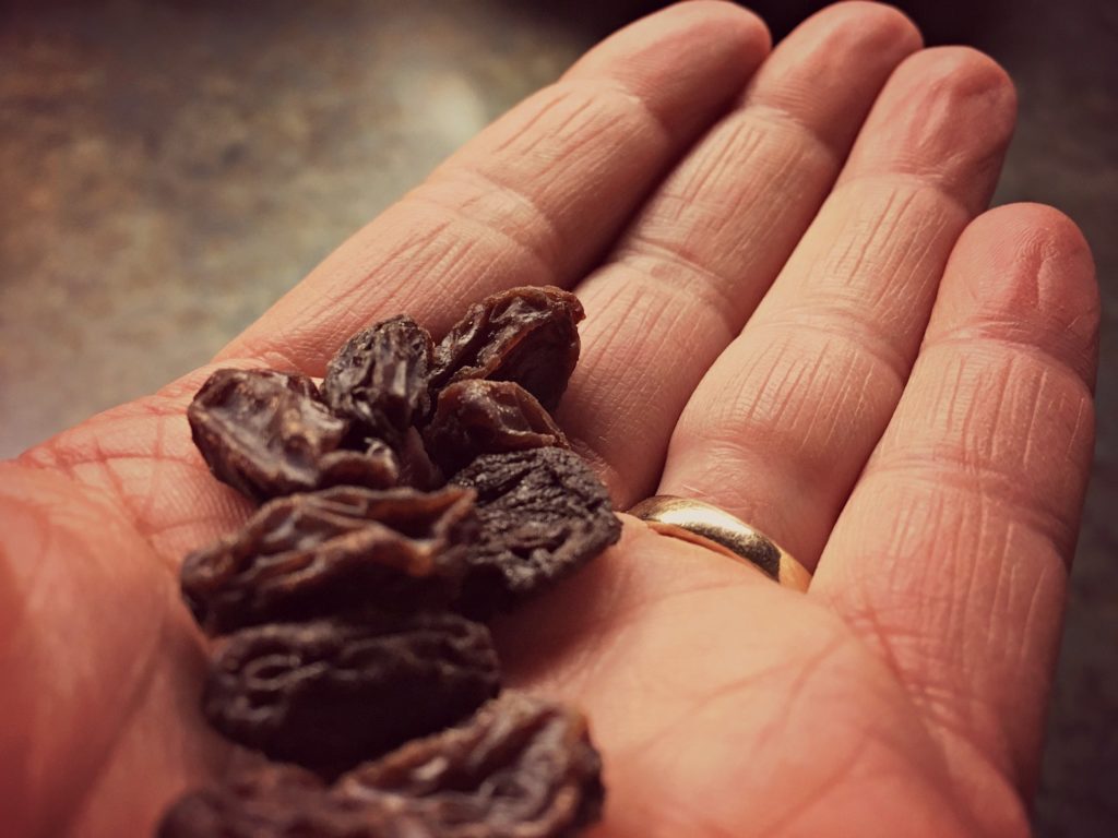 raisins in hand