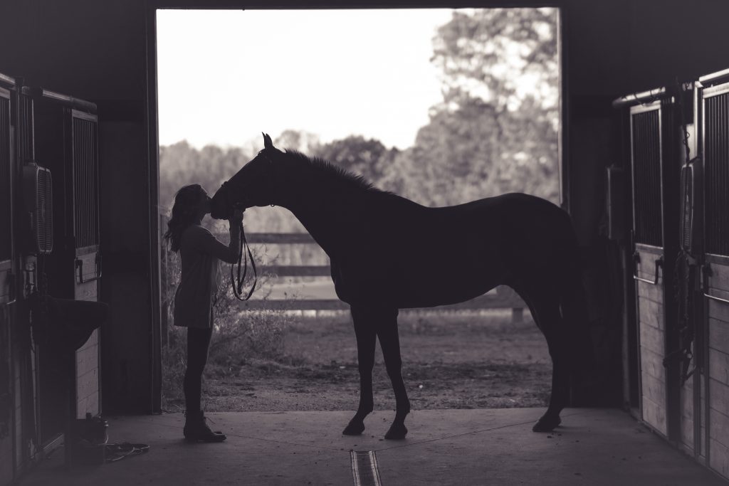 woman and horse face to face in barn